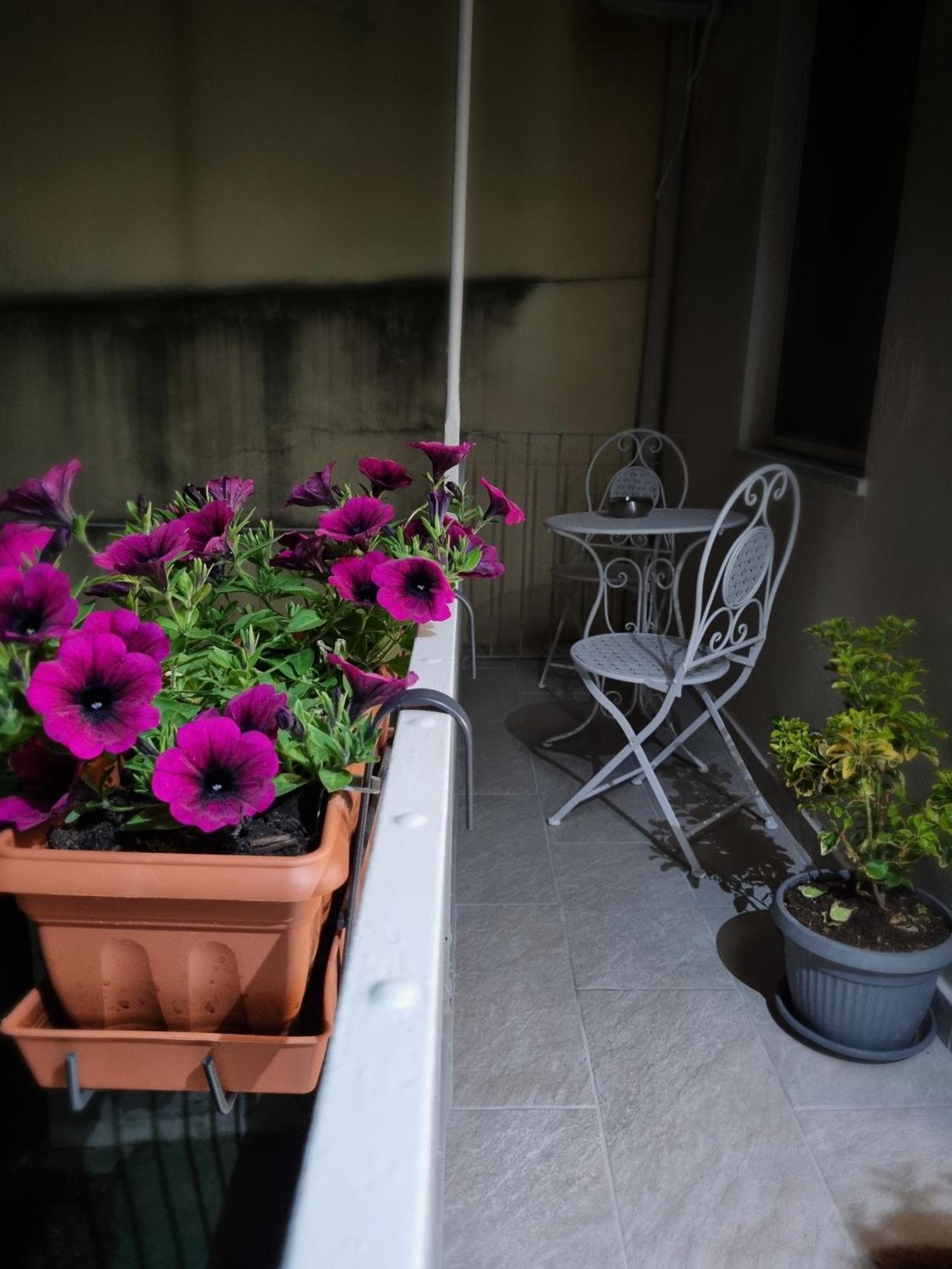 Ca Fiamma 2 Apartman Casale Monferrato Kültér fotó